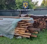 Sute de arbori tăiați ilegal de pe raza unui canton silvic din Măneciu! Trei bărbați - reținuți de poliție pentru un cumul de infracțiuni