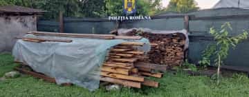Sute de arbori tăiați ilegal de pe raza unui canton silvic din Măneciu! Trei bărbați - reținuți de poliție pentru un cumul de infracțiuni