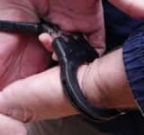 Un ploieștean de 69 de ani, ”specializat” în furturi din mașini, a fost reținut de polițiști
