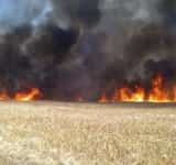 O suprafață de 14 hectare dintr-un lan de grâu, cuprinsă de flăcări, în Păulești