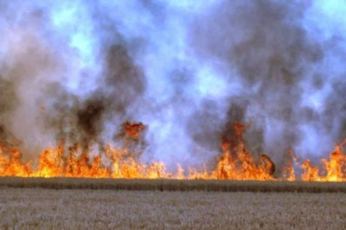Incendiu de vegetație pe circa un hectar de teren, în Ploiești, zona Coca Cola