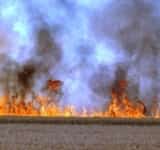 Incendiu de vegetație pe circa un hectar de teren, în Ploiești, zona Coca Cola