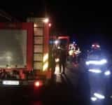 25 de porci și 5 păsări au murit într-un incendiu, noaptea trecută, în comuna Berceni. Alți 70 de porci au fost salvați!