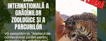 INTRARE LIBERĂ la ZOO BUCOV, de Ziua Internațională a Grădinilor Zoologice și a Parcurilor