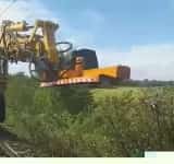 Vegetația ”luxuriantă” de la trecerile la nivel cu calea ferată, defrișată zilele acestea de CFR Infrastructură