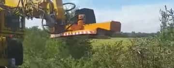 Vegetația ”luxuriantă” de la trecerile la nivel cu calea ferată, defrișată zilele acestea de CFR Infrastructură