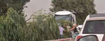 Arbori căzuți pe carosabil, din cauza furtunii care s-a abătut peste Prahova. În Lipănești s-au rupt și cabluri electrice!