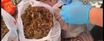 Suspect de trafic de droguri, prins în... trafic cu trei kilograme de cannabis în autoturism
