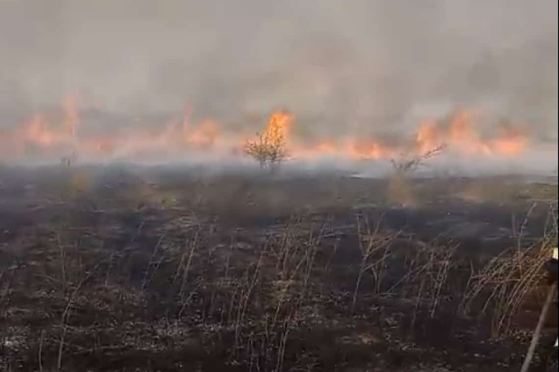 Istoria se repetă, la Valea Călugărească/ Incendiu pe 20 de hectare de teren cu vegetație uscată, în satul Rachieri