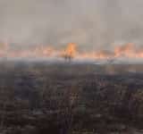 Istoria se repetă, la Valea Călugărească/ Incendiu pe 20 de hectare de teren cu vegetație uscată, în satul Rachieri