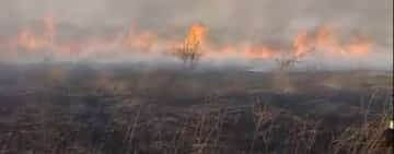 Istoria se repetă, la Valea Călugărească/ Incendiu pe 20 de hectare de teren cu vegetație uscată, în satul Rachieri