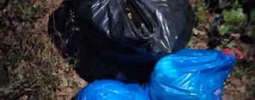 Jandarmii au prins un bărbat în timp ce arunca deșeuri la marginea pădurii Plopeni, i-au confiscat autoturismul și i-au dat o amendă usturătoare