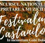 Ducu Bertzi și Mircea Vintilă, recitaluri la ”Festivalul Castanilor” de la Ploiești
