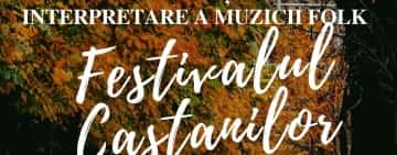 Ducu Bertzi și Mircea Vintilă, recitaluri la ”Festivalul Castanilor” de la Ploiești