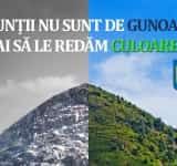 De ziua lor, jandarmii montani prahoveni ne invită alături de ei, să curățăm munții de gunoaie!
