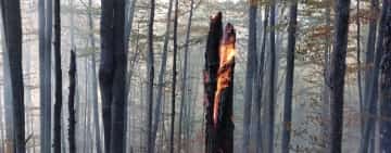 Pompierii prahoveni fac eforturi supraomenești pentru a stinge incendiul de la Paltinu! 