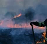 Pompierii prahoveni s-au luptat cu incendii de vegetație pe 70 de hectare de teren, într-o singură zi!