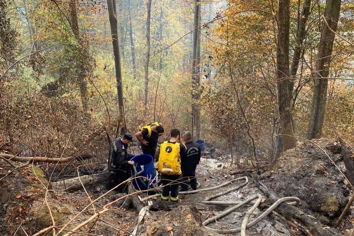 Pompierii prahoveni au reușit să stingă incendiul din pădurea de la Paltinu