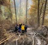 Pompierii prahoveni au reușit să stingă incendiul din pădurea de la Paltinu
