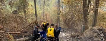 Pompierii prahoveni au reușit să stingă incendiul din pădurea de la Paltinu