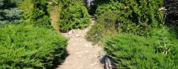 Concurs de orientare, în Grădina Botanică Bucov, organizat de InfO(1)Robotics și Clubul de drumeție și ecologie montană SprEVârf, din Colegiul Național ”Ion Luca Caragiale”