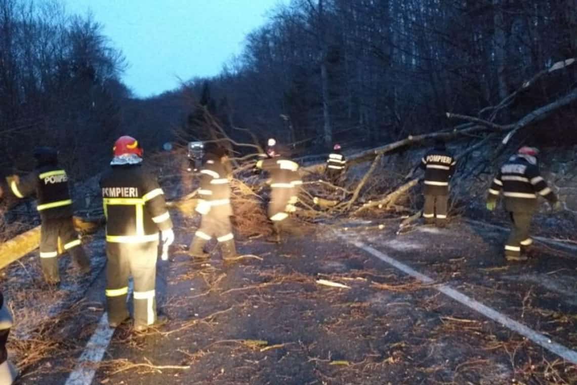 Prahoveni fără energie electrică și copaci căzuți, din cauza vântului puternic de noaptea trecută