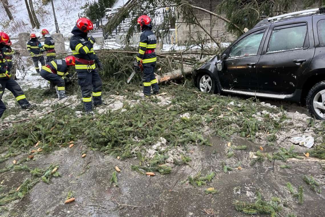 Copaci smulși din rădăcini și acoperișuri luate de vânt, în Prahova, în ultimele 12 ore