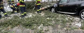 Copaci smulși din rădăcini și acoperișuri luate de vânt, în Prahova, în ultimele 12 ore