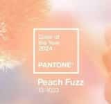 Peach fuzz, o combinație de roz cu portocaliu, este culoarea anului 2024! 