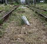 Locomotiva unui tren al CFR Călători a deraiat, vineri dimineață. Circulația feroviară afectată