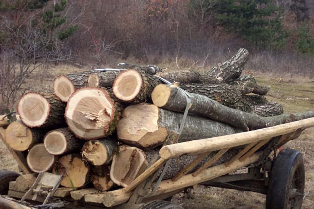 Un bărbat din Vâlcănești, reținut pentru că a sustras căruța cu lemne confiscată de polițiști