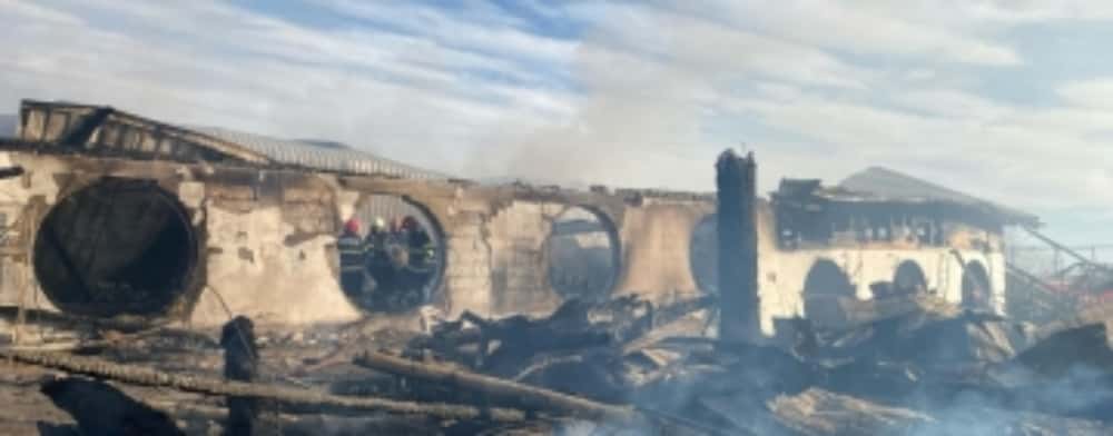 UPDATE/ Primarul comunei Gura Vadului, audiat astăzi în legătură cu Ferma Dacilor. Alături de acesta au fost aduși și fostul primar și o funcționară de la Urbanism