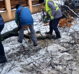 SGU Ploiești spune că nu s-a mai confruntat de 12 ani cu atâtea intervenții generate de ninsoare!