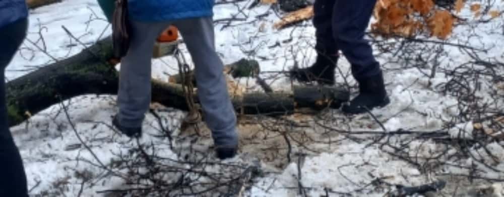 SGU Ploiești spune că nu s-a mai confruntat de 12 ani cu atâtea intervenții generate de ninsoare!