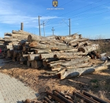 O firmă din Mizil a fost amendată cu 15.000 de lei și i-au fost confiscate lemne de 20.000 de lei pentru că ar fi încălcat legea privind comerțul cu material lemnos