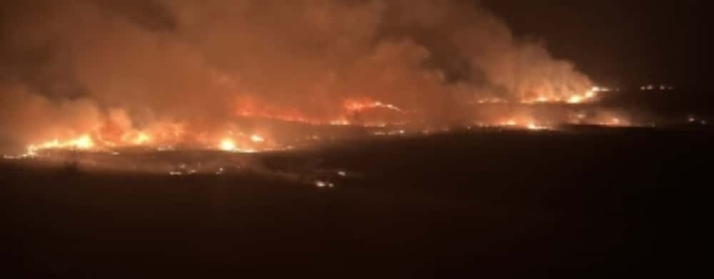 Zeci de hectare de vegetație uscată ard în comuna Păcureți. Incendii au izbucnit și în alte localități prahovene, inclusiv în Ploiești