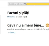 După o lună și jumătate de ”optimizări”, plățile online la Electrica Furnizare - extrem de greoaie prin aplicația MyElectrica!