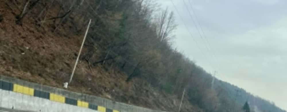 Restricții de circulație pe DN 1, între Comarnic și Sinaia, pentru toaletarea arborilor periculoși