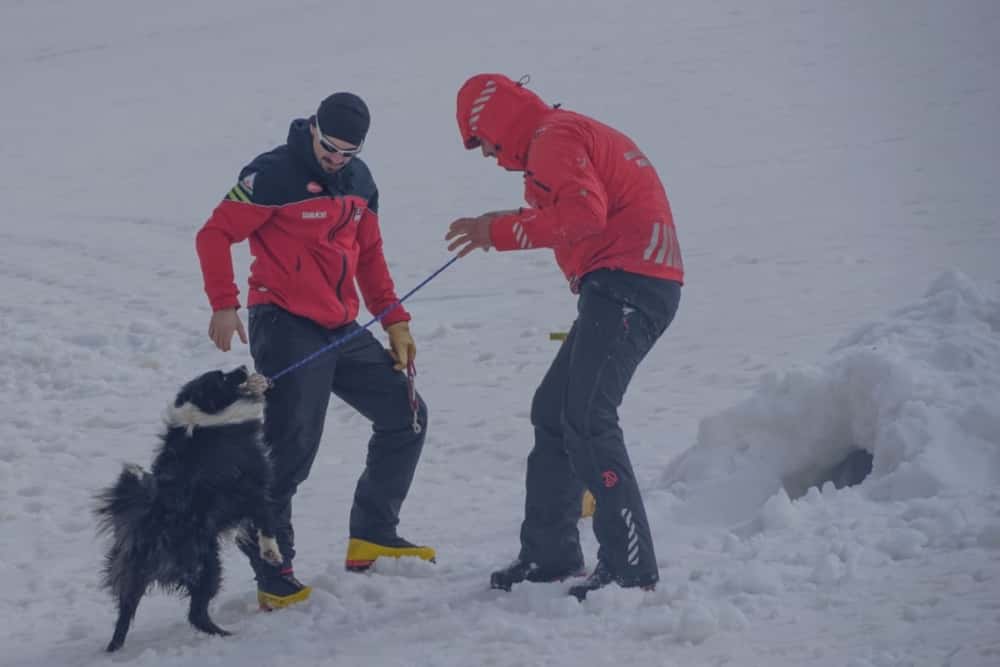 Carp, ”veteranul” unității canine a Salvamont Prahova, ”și-a făcut ITP-ul” anual pentru a cincea oară!