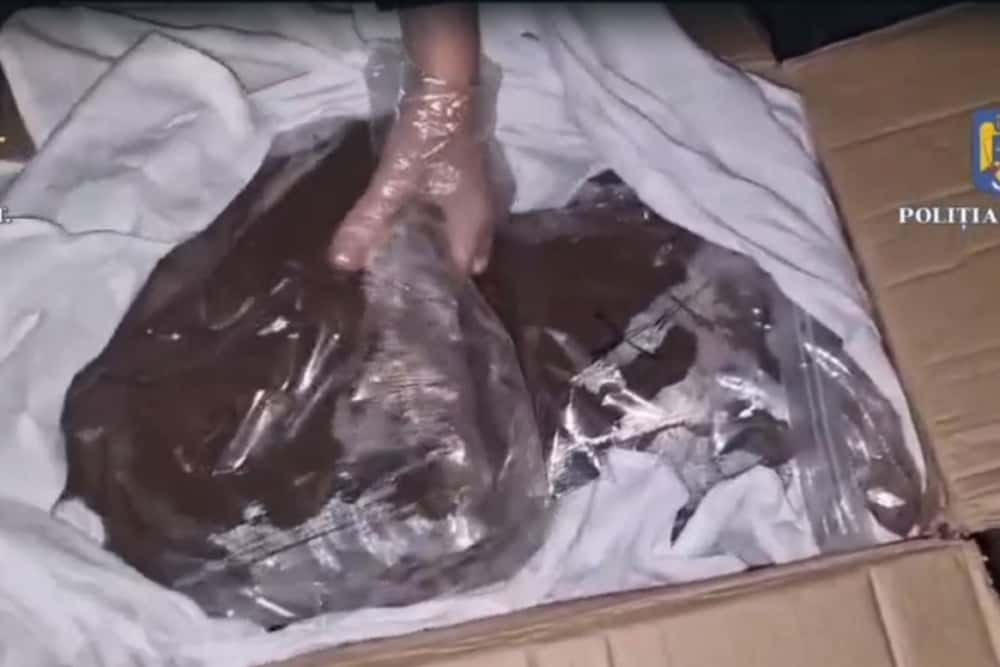 17 kilograme de canabis, trimise prin curierat din Spania în Ploiești și Dâmbovița. Două persoane au fost arestate
