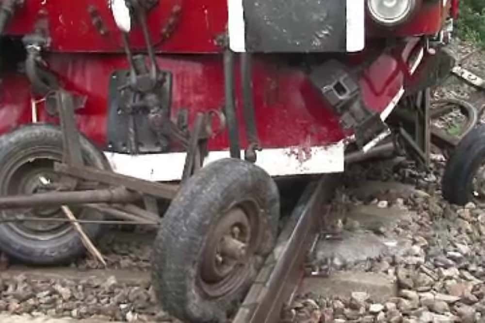 Un cal înhămat la căruță a murit lovit de un tren, pe ruta Măneciu - Ploiești Sud