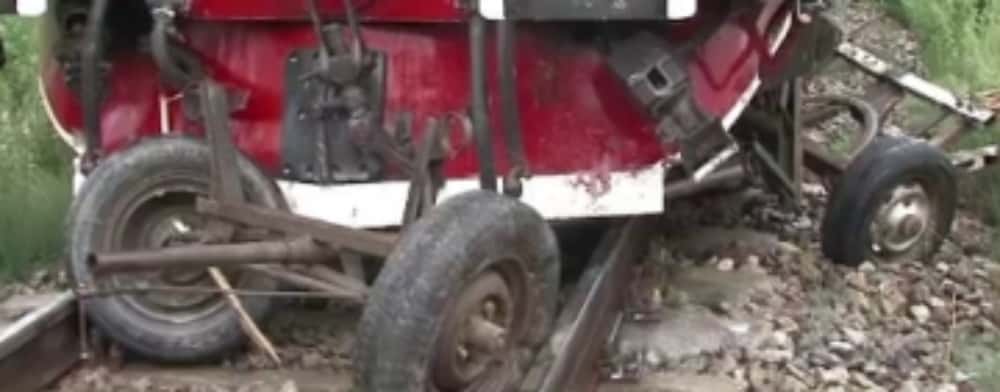 Un cal înhămat la căruță a murit lovit de un tren, pe ruta Măneciu - Ploiești Sud
