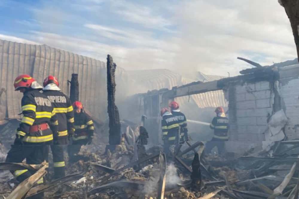 Tribunalul Militar București a amânat din nou pronunțarea privind redeschiderea dosarului foștilor inspectori din ISU Prahova în cazul Ferma Dacilor