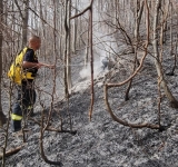 Update/Incendiu de pădure la Valea Doftanei, duminică după-amiază. Flăcările au cuprins circa șase hectare (foto ISU Prahova) 