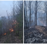 Incendiu pe 50 de hectare de teren, în Șoimari