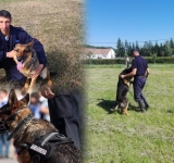 Ionuț Dumitrache, jandarmul de la Gruparea Mobilă Ploiești și partenerii săi patrupezi de la unitatea canină