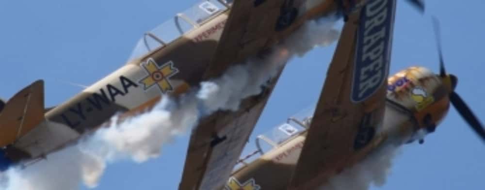 Iacării Acrobați vă invită la o sâmbătă de neuitat, pe aerodromul de la Bănești - Prahova! Zbor, Profesionalism, Avioane!