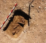 Arheologii Muzeului de Istorie și Arheologie Prahova au descoperit, la Ariceștii Rahtivani, alt mormânt vechi de circa 5.000 de ani