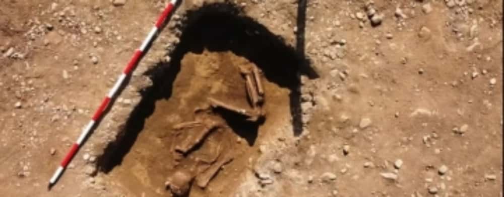 Arheologii Muzeului de Istorie și Arheologie Prahova au descoperit, la Ariceștii Rahtivani, alt mormânt vechi de circa 5.000 de ani
