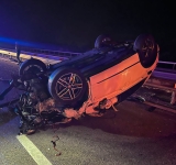 O bovină a provocat un grav accident rutier pe autostrada A3 București-Ploiești, în zona comunei Gherghița